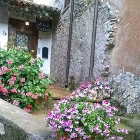 Bed and Breakfast Rupe Antica Artena Exterior foto